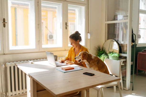 Working with my little asistent by my side Photo of a young woman who is working from her home office, having the cutest and the cuddliest asistent - her pet dog working at home stock pictures, royalty-free photos & images