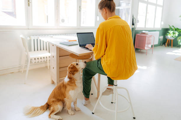 istock Dog waiting patiently for his owner to finish work 1392114711