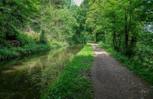 istock Canal Scene Through Woods (The Monmouthshire and Brecon Canal) 1392115878