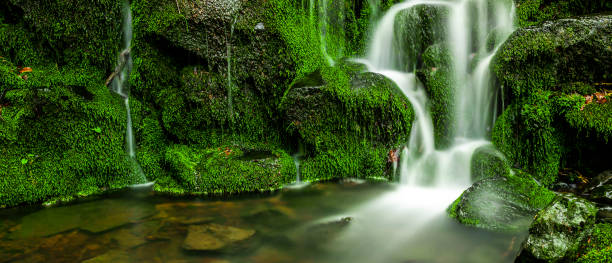 istock Green waterfall in the forest 1392118447