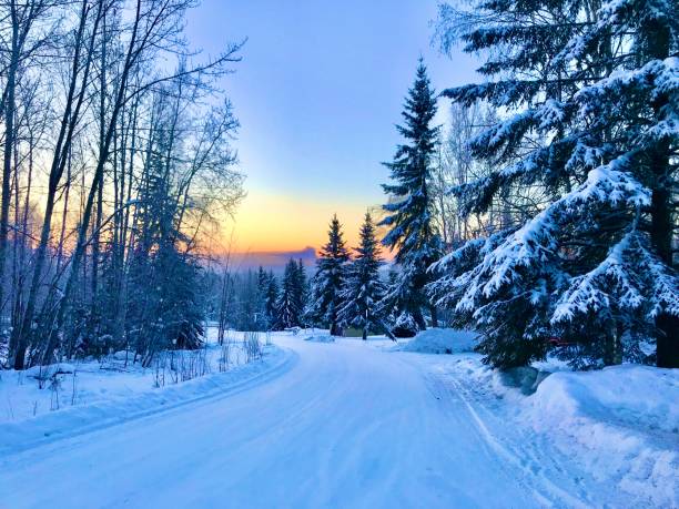 アラスカの日の出 - fairbanks ストックフォトと画像