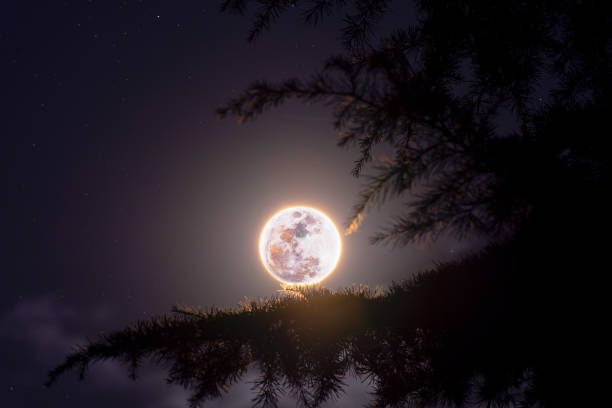 istock February's full Moon - The Snow Moon 1392122792