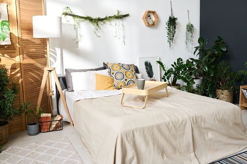 Image of cozy bed with wooden tray on it in modern bedroom with plants