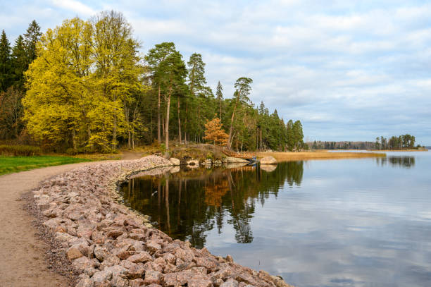 istock sandy path along the coast. beautiful forest and fresh air. sandy path. walk along the trail through the forest 1392127400