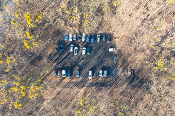 istock car parking in the forest, top view 1392128681