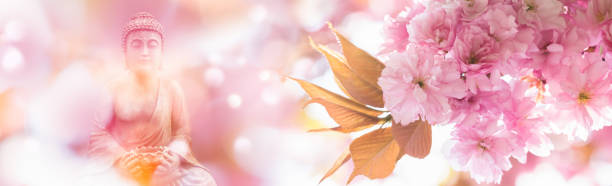 istock beautiful flowering cherry tree in front of the medidating buddha statue on blurred background, floral pink springtime scene in sunshine with asian spirit 1392135910