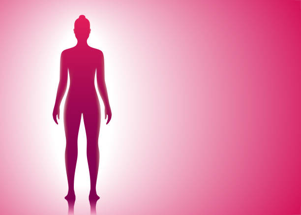 Beautiful naked woman standing on a bright pink background. Body care concept vector illustration. Beautiful naked woman standing on a bright pink background. Body care and medical concept vector illustration. gloriole stock illustrations