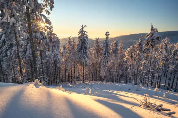 Sunset from the top of the mountain in Carpathian range. Landscape with winter forest and lots of snow. Glowing sky in the golden hour in Beskid mountains, Czechia