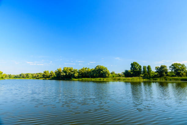 istock Summer landscape with the green trees and river 1392140314