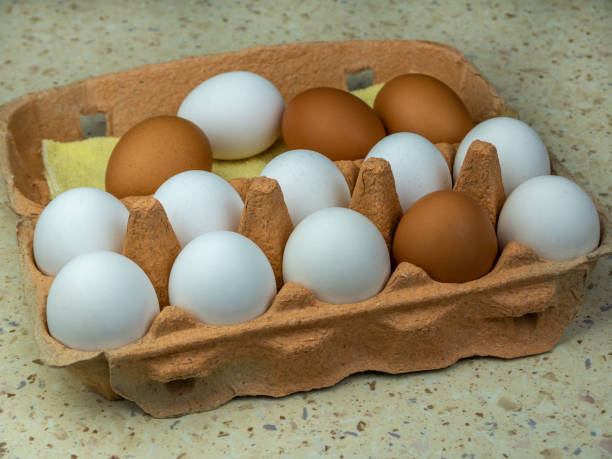 istock Organic chicken eggs in a egg carton. Close-up. Copy space. 1392140845