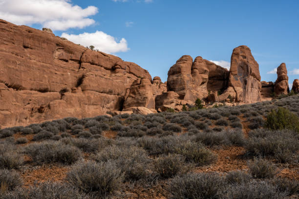 istock Brush Covers The Desert Floor With Sandstone Cliffs In The Background 1392143774