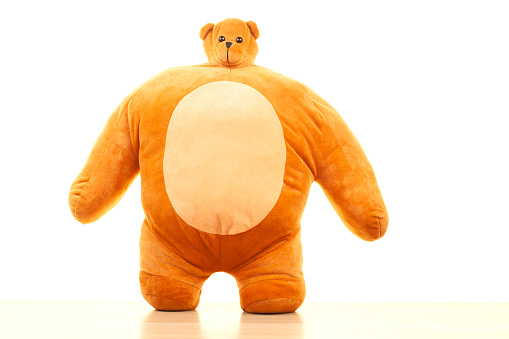image of toy plush brown bear white background studio