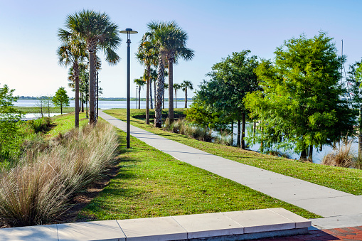 Palm Tree lined Jetty sidewalk leading to a fishing Pier on Lake Tohopekaliga in Kissimmee, Florida