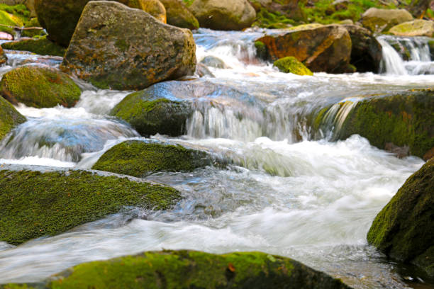 beautiful mountain stream in the Karkonosze mountains
