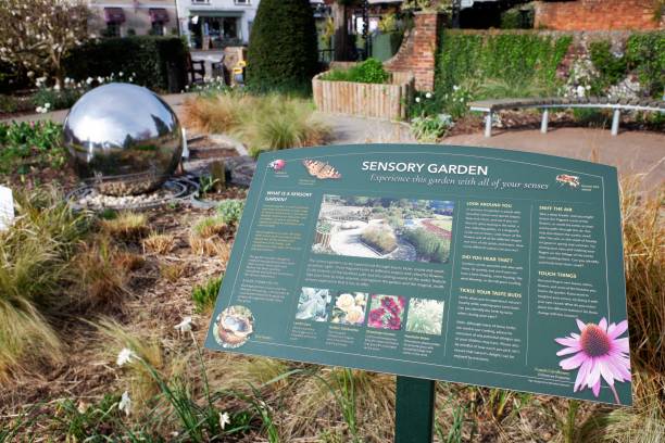 panneau sensory garden situé à old amersham, buckinghamshire - water touching sensory perception using senses photos et images de collection