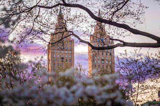 Luxury Apartments on Central Park West. Cherry Blossoms are in the foreground.