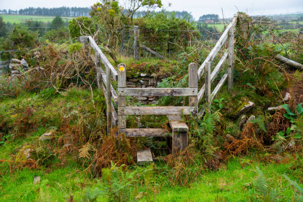 istock Hiking from St Breward to St Advent 1392157695