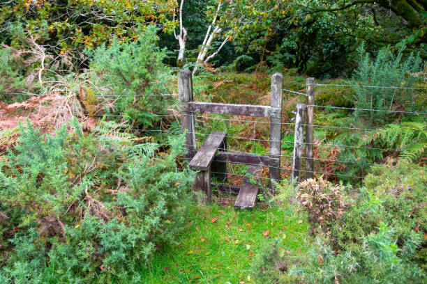 Hiking from St Breward to St Advent