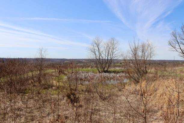 istock Horizon in the Country 1392157717