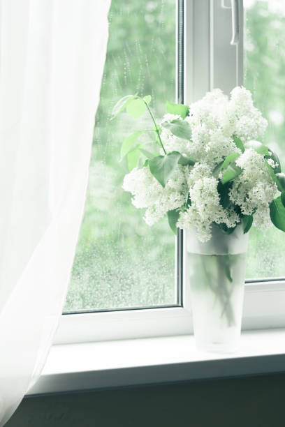 istock White Lilac flowers bouquet 1392158657