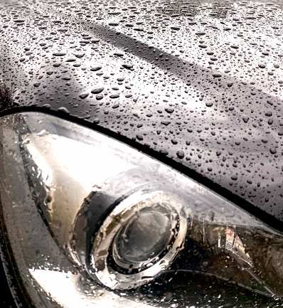 Rain water drops on shiny black surface of paintwork of a car. Ceramic wax and other type of weather protection for auto.