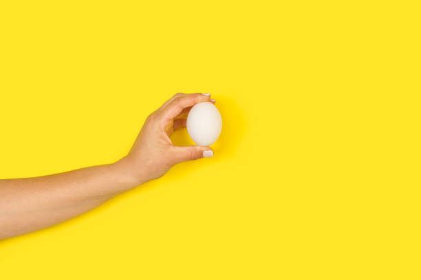 istock Woman hand holding a chicken egg on a yellow background 1392161865