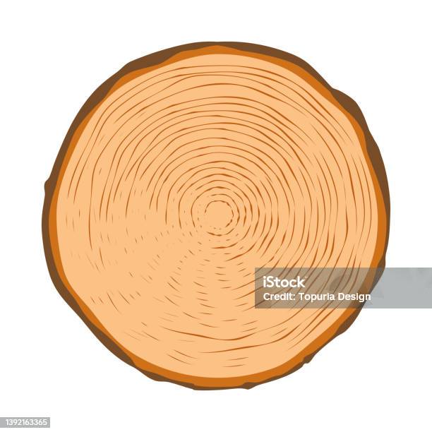 Tree Rings Cut Art Cut Tree Rings Clipart Flat Vector Illustration Stock Illustration ...