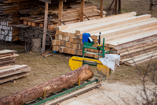 Sawmill. Process of machining logs in equipment sawmill. Machine saw saws the tree trunk on the plank boards. Wood sawdust work sawing timber wood