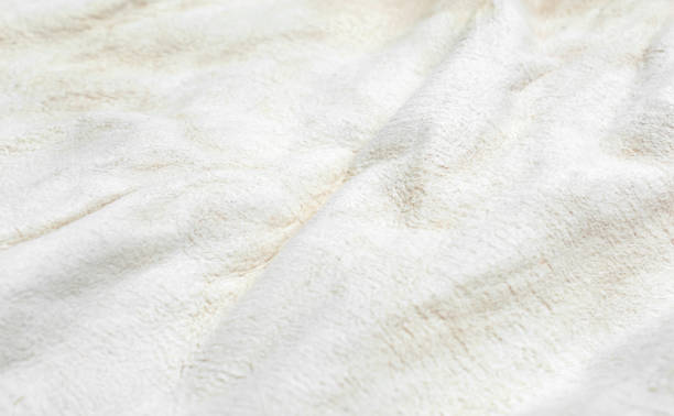 istock Back side of animal fur. Natural texture. 1392167663