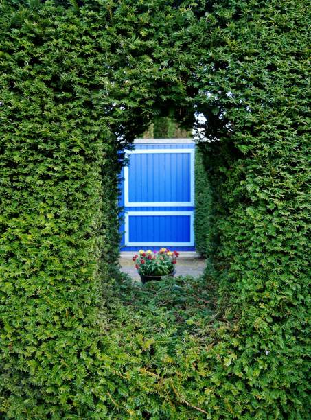 Gartenhecke