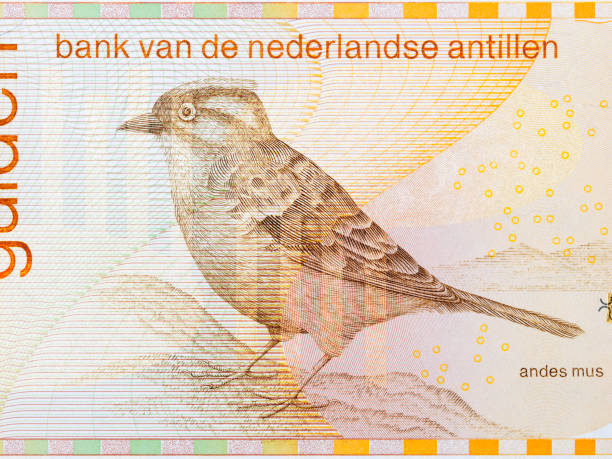 Andean sparrow from Netherlands Antillean money Andean sparrow from Netherlands Antillean money - guilder dutch guilders stock pictures, royalty-free photos & images