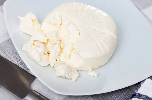 Photo of Homemade fresh whey cheese from goat milk on plate
