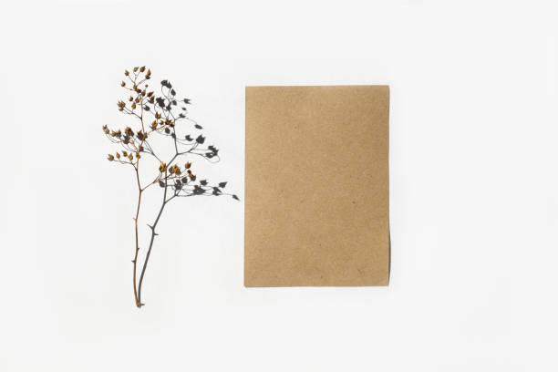 istock Blank greeting card, invitation mockup. Dry grass, pampas plant on white table background. Flat lay, top view. Copyspace. Blank craft paper cards, mock up. Modern Minimal business brand template. A6 1392182037