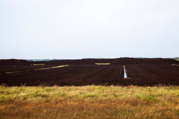 industrial area where black peat is mined