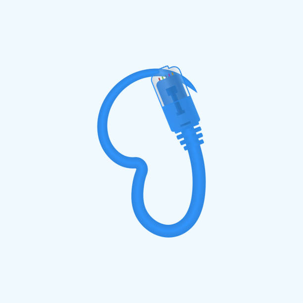 Cable Rj45 Graphic 250+ Rj45 Connector Stock Illustrations, Royalty-Free Vector Graphics ...