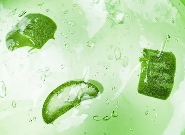 background fresh aloe vera slices in aloe float in natural aloe gel