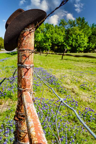 cowboy hat hangs on fencepost and texas bluebonnet, lupine, landscape, vertical - barbed wire rural scene wooden post fence imagens e fotografias de stock