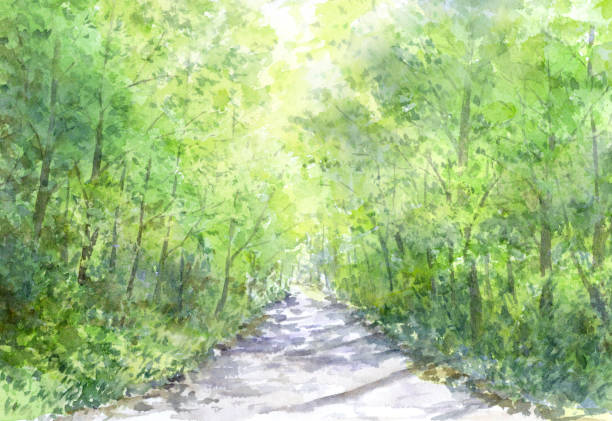 istock Watercolor illustration of road landscape  in the forest 1392196237