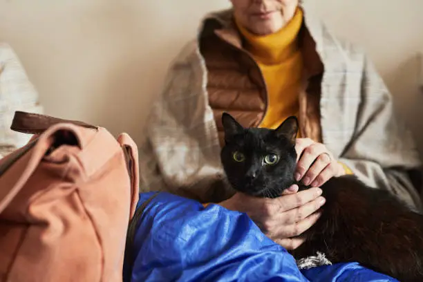 Photo of Woman with Cat in Refugee Shelter