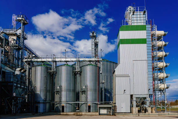 istock Automatic agricultural grain dryer and silos. Modern complex for drying, cleaning and storage grain 1392202069