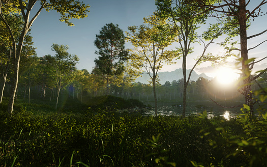 Digitally generated idyllic grove at dusk/dawn.\n\nThe scene was created in Autodesk® 3ds Max 2022 with V-Ray 5 and rendered with photorealistic shaders and lighting in Chaos® Vantage with some post-production added.