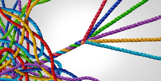 Concept Of Organizing Concept of organizing from mismanagement to managed success as a tangled group of ropes with another team of organized ropes succeeding. order stock pictures, royalty-free photos & images