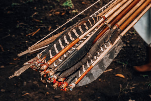 Indian from the Pataxó tribe, with feather headdress. Elderly Brazilian Indian looking to the right