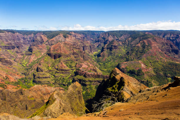 istock Waimea Canyon in Kauai, Hawaii 1392204385