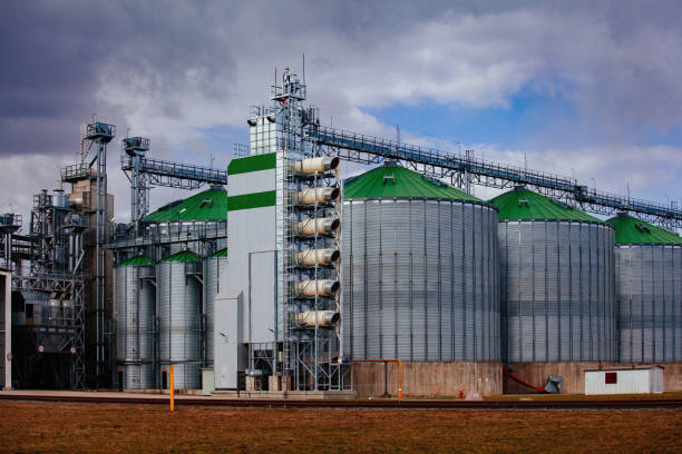 istock Automatic agricultural grain dryer and silos. Modern complex for drying, cleaning and storage grain 1392204440