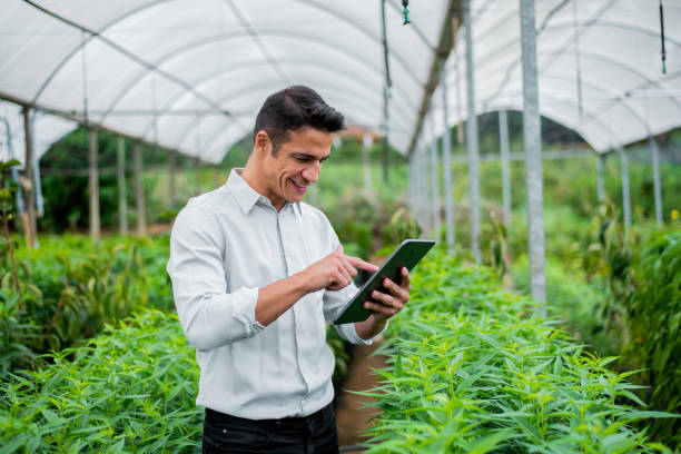 istock Brazilian man working and using technology in the field 1392205128