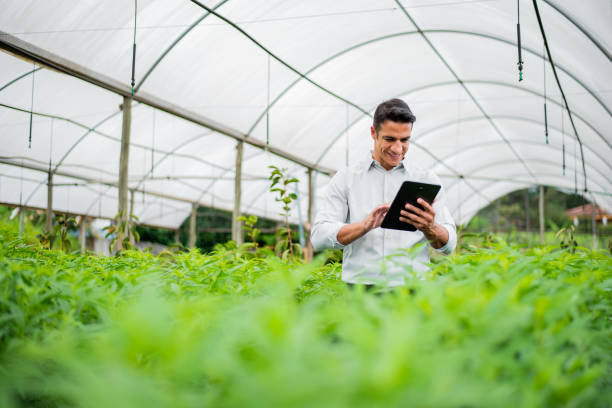 istock Brazilian man working and using technology in the field 1392205164