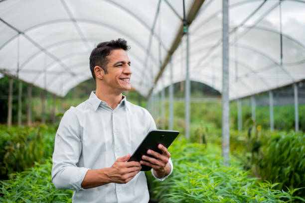 istock Brazilian man working and using technology in the field 1392205165