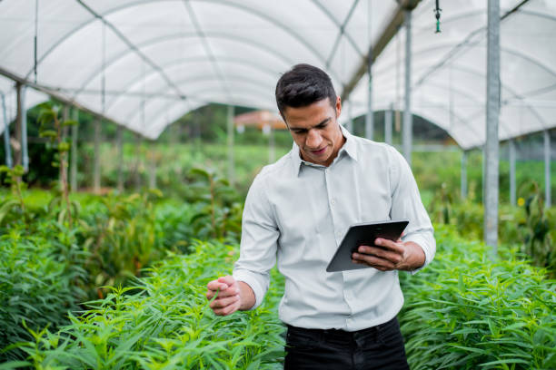 istock Brazilian man working and using technology in the field 1392205166