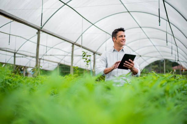 istock Brazilian man working and using technology in the field 1392205182
